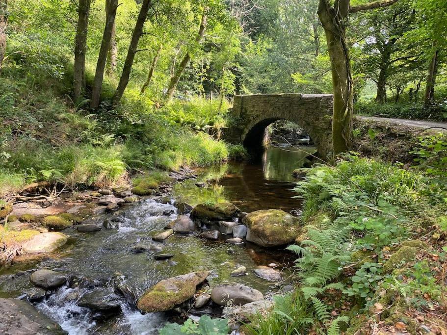 Bear Cottage, Tyn Y Cwm Eglwys-Fach Kültér fotó