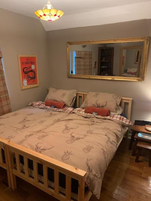 Bear Cottage, Tyn Y Cwm Eglwys-Fach Kültér fotó